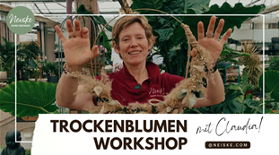 Trockenblumen workshop - Titelslider.png